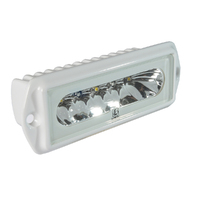 123604   BLA   Lumiteca¢ Capri2 Flood/Spreader Light