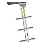 194286   BLA   Garelick EEz-In&reg; Under Platform Double Tube Telescoping Dive Ladder