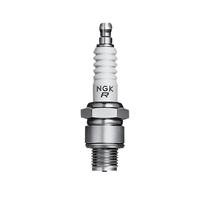 203340   BLA   NGK Marine Spark Plugs