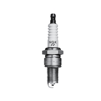 203376   BLA   NGK Marine Spark Plugs