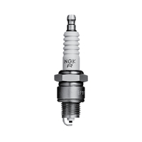 203396   BLA   NGK Marine Spark Plugs