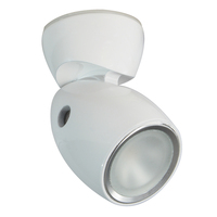 111810     Lumitec GAI2 - General Area Illumination2 Light - White Finish - Warm White Dimming     46345