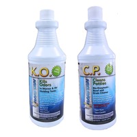 1PPOT     Raritan Potty Pack w/K.O. Kills Odors &amp; C.P. Cleans Potties - 1 of Each - 32oz Bottles     66215