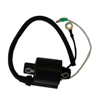 CDI187-0011   BLA   CDI Electronics&reg; Ignition Coil 2 Cyl. - Yamaha Enduro