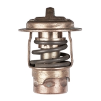 Q14586   BLA   Quicksilver&reg; Thermostat 120a°