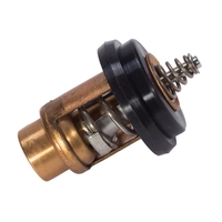 Q804540   BLA   Quicksilver&reg; Thermostat