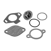 Q807252Q4   BLA   Quicksilver&reg; Thermostat Kit