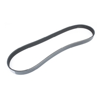 S18-15128   BLA   Sierra&reg; Serpentine Belt- Mercury&reg;/Mariner&reg;