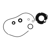 S18-2679   BLA   Sierra&reg; Lower Unit Seal Kit - Johnson/Evinrude