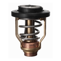 S18-3525   BLA   Sierra&reg; Thermostat 50a°C - Yamaha&reg;