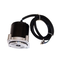 S18-6783   BLA   Sierra&reg; Tilt/Trim Motor - Yamaha&reg;